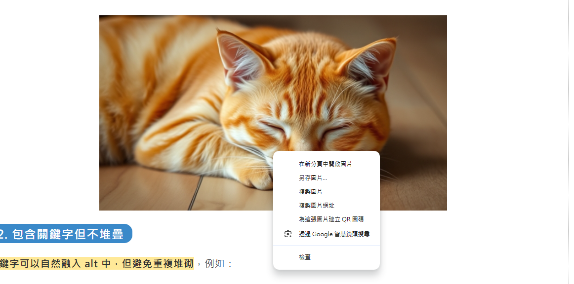 如何查看 Img Alt